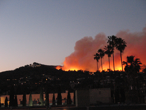 Griffith Park Fire