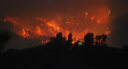 Griffith Park Fire on Hillside