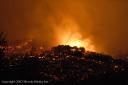 Griffith Park Fire and L.A. River