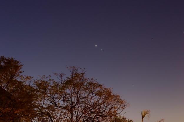 Venus and Jupiter shining over trees in San Diego